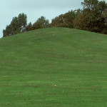 they_03